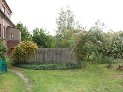 Bild 4 aus  Reiterhof Losse