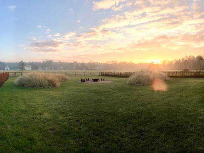 Bild 7 aus  Seestück Prerow