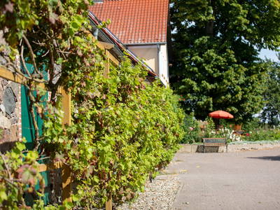 Bild 7 aus  Mellenhof / Landurlaub