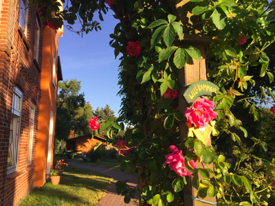 Bild 2 aus  Ahoi Ostsee:  Bauernhof und OstseeUrlaub - Ferienhof Becker in Dahme