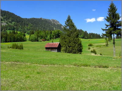 Bild 16 aus  Wendlarhof