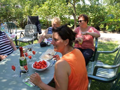 Bild 34 aus  Ommen Ferienhof