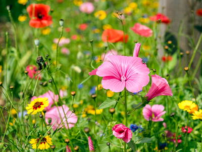 Bild 19 aus  LandSelection Hussnhof - Farm Lodge