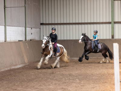 Bild 28 aus  Ferienhof Frieslandstern