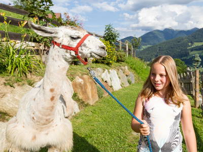 Bild 15 aus  Residence Garni Melcherhof