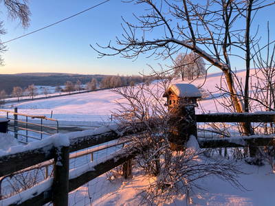 Bild 31 aus  Burgbauernhof am Katzenstein - Ursprünglichkeit des Landlebens gepaart mit Gesundheit und Luxus
