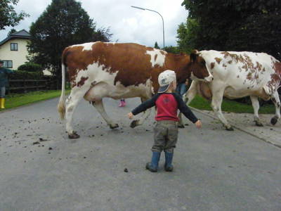 Bild 6 aus  Breuer-Hof