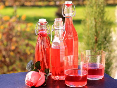 Bild 50 aus  Krösshof Rosen-Residenz