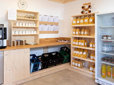 Bild 17 aus  Mayerhof- der Ferienbauernhof mit dem Pool, den Pferden u. d. tollen Spielplatz