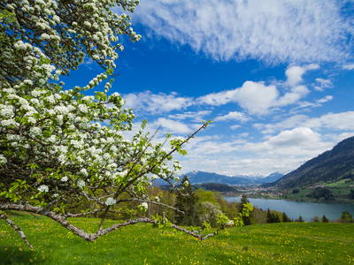 Bild 6 aus  Bergpension Christine