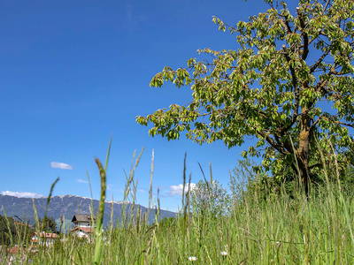 Bild 11 aus  Willmüllerhof