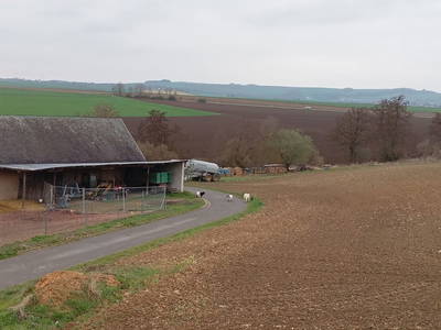 Bild 12 aus  Ferienbauernhof Neumühle