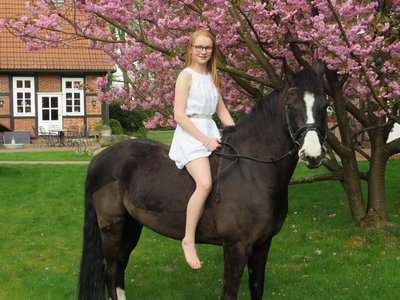 Bild 7 aus  Theeshof