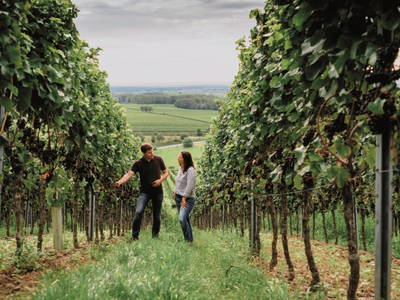 Bild 9 aus  GAST.HAUS.PORZELT