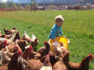 Bild 4 aus  Gästehaus Nassfeld - kleines und persönliches Landhaus