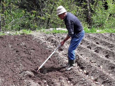 Bild 31 aus  Appartement Birkenhof - Urlaub mit Pferden und Alpakas