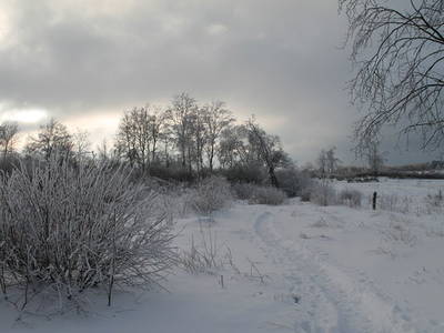 Bild 30 aus  Victorhof Ferienwohnungen