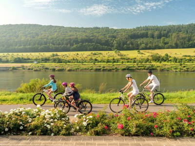Bild 17 aus  Ferienwohnung Weingut Mathy Schanz