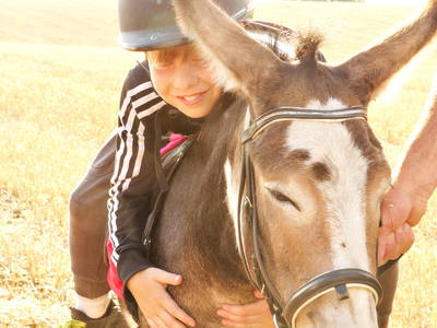 Bild 19 aus  Ostseebauernhof