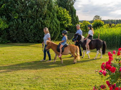 Bild 6 aus  Ferienwohnungen Wagner