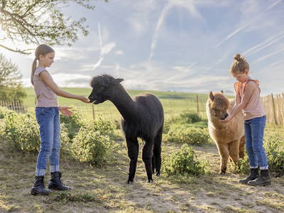 Bild 25 aus  LandSelection Hof Hardthöhe
