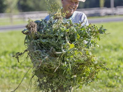 Bild 10 aus  Landhof - Familie Mairhofer
