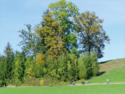 Bild 19 aus  Unterfürberg-Hof