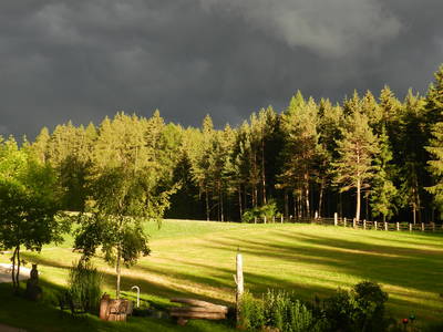 Bild 23 aus  Lärchhof