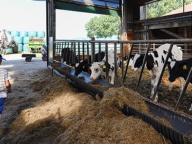 Bild 13 aus  Ennenhof