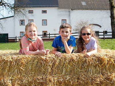 Bild 10 aus  Bernis Ferienhaus