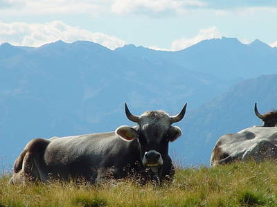 Bild 22 aus  Steinerhof