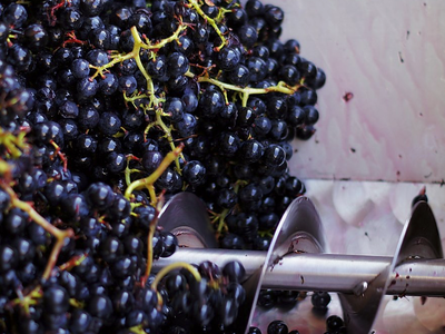 Bild 10 aus  WEINGUT & APARTMENTS WEI TGRUBER    CIN:  IT021051B4HVROK894