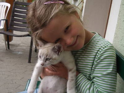 Bild 11 aus  Ferienhof Ott im Romantischen Franken bei Rothenburg o.d.T.