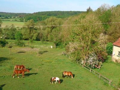 Bild 9 aus  Gutshof Hungerburg