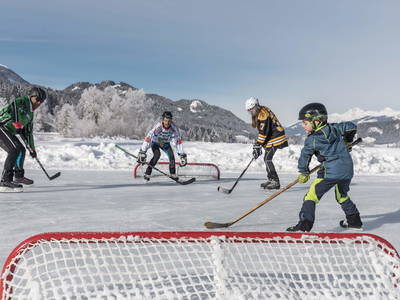 Bild 38 aus  LandSelection Ferienhof Neusacher-Moser