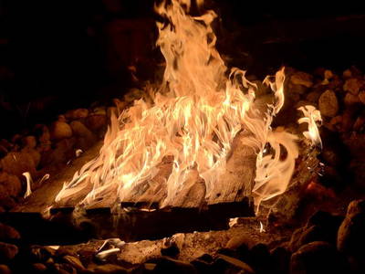 Bild 36 aus  Biber Ferienhof