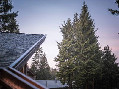 Dorfblick und Waldblick