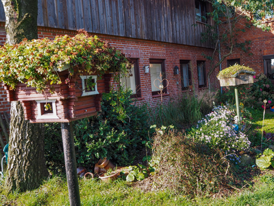 Bild 5 aus  Hof Letsch