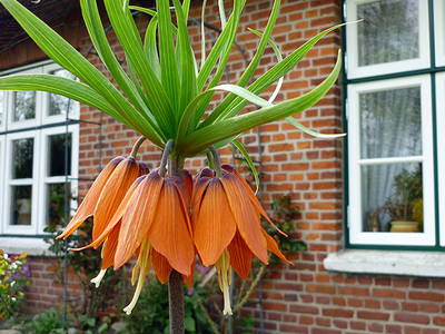 Bild 5 aus  Ferienhof Martens