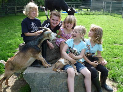 Bild 13 aus  Ponyhof Meier