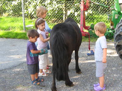 Bild 15 aus  Familien-Bauernhofurlaub im Herzen der Schweiz