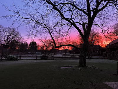 Bild 22 aus  Pension Eichenhof , Räderloh