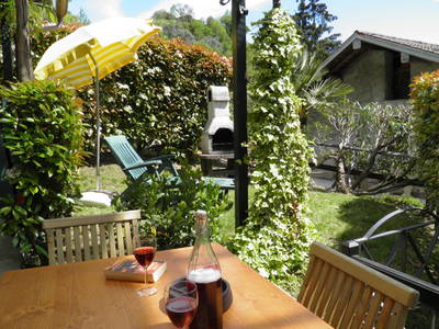 Bild 8 aus  Casarina