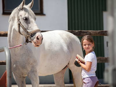 Bild 22 aus  Ferienwohnungen Seehof am Waginger See