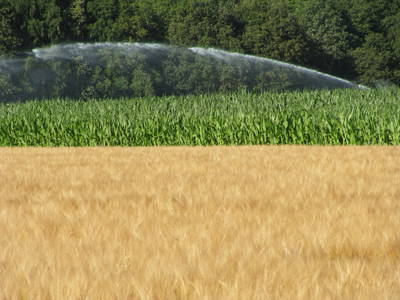 Bild 15 aus  Ferienhof Knoop