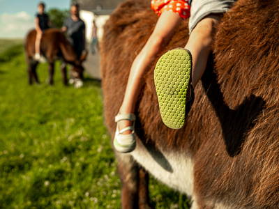 Bild 46 aus  LandSelection Grieshof