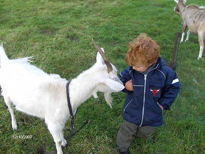 Bild 19 aus  Alte Scheune Krakvitz, Inh. Gisela Stolpe&Peter Hübner