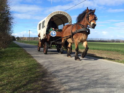 Bild 41 aus  Bernsteinreiter Hirschburg