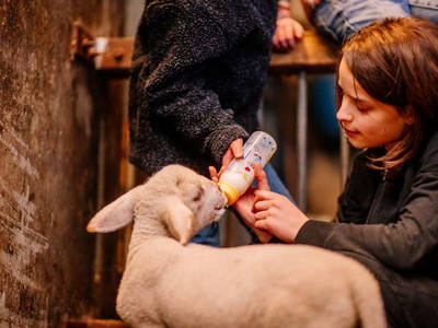 Bild 17 aus  Haberjockelshof