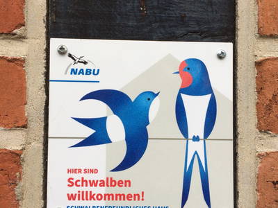 Bild 43 aus  Ferienhof Nielson